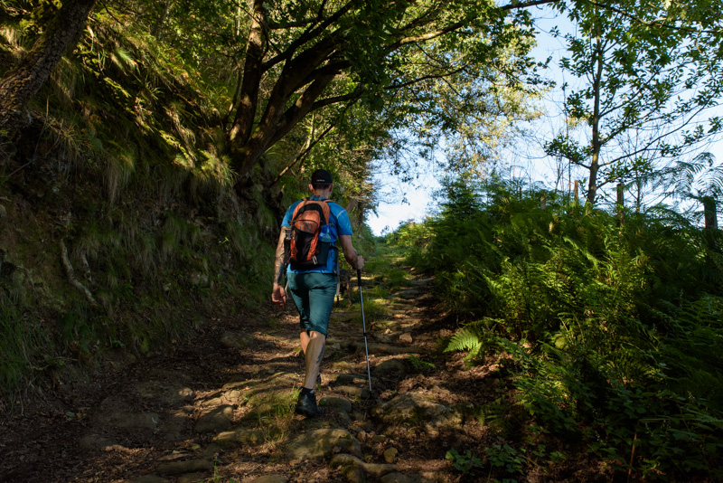 Ruta por la calzada romana en Bárcena de Pie de Concha