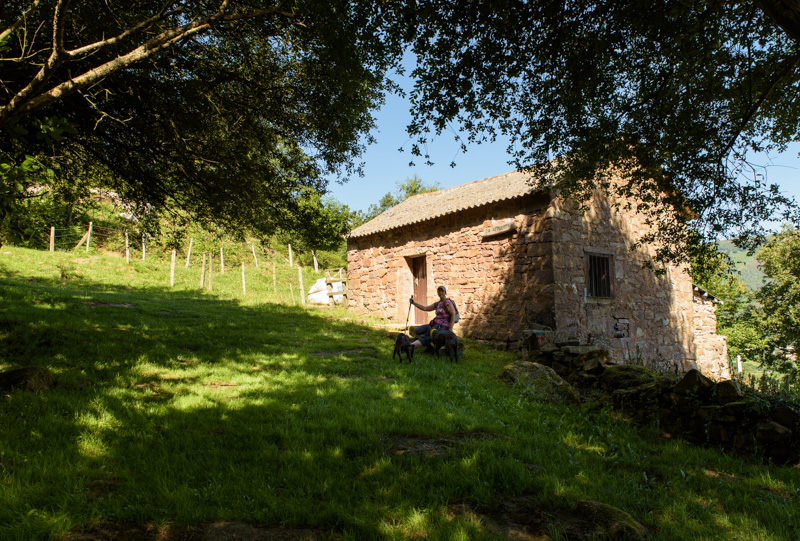 Ruta por la calzada romana en Bárcena de Pie de Concha