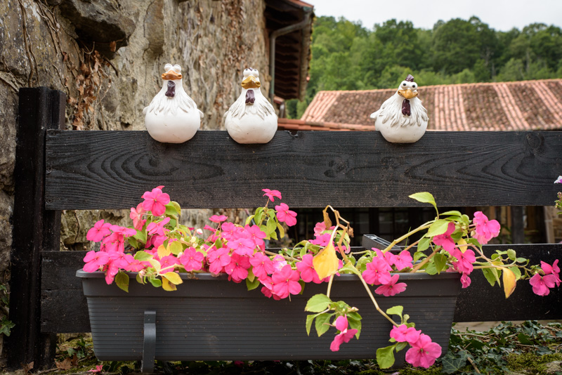 Detalles en Bárcena Mayor, Cantabria