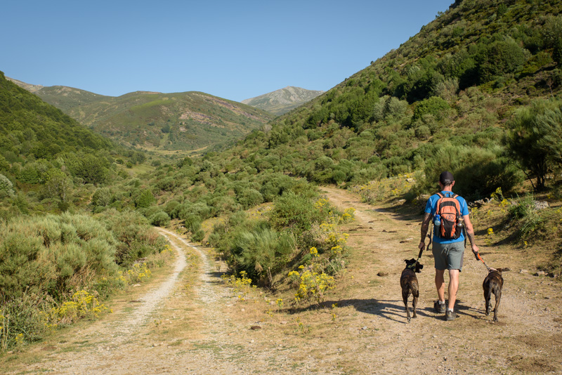 Camino a la cascada de Cirezos